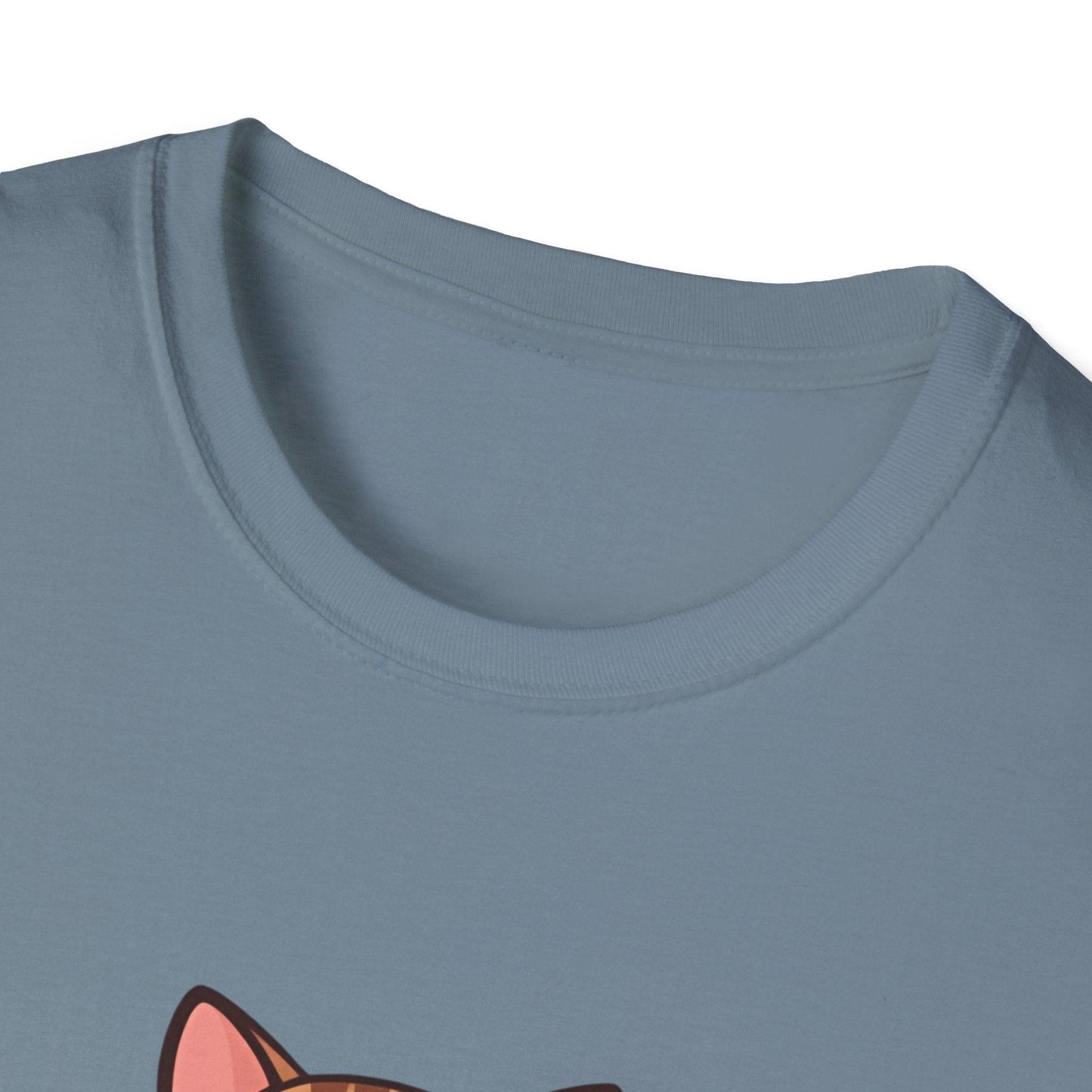 Purrfection Unisex Softstyle T-Shirt